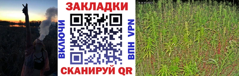 Где купить Мышкин Конопля  КЕТАМИН  ГАШ  COCAIN 