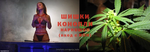 хмурый Дегтярск