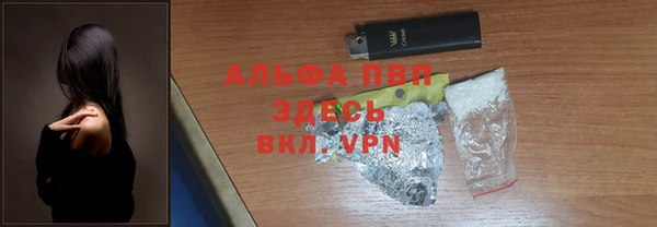 хмурый Дегтярск