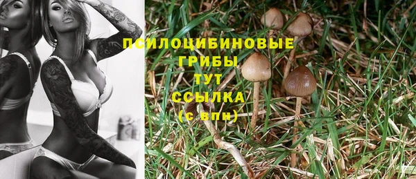 крисы Дедовск
