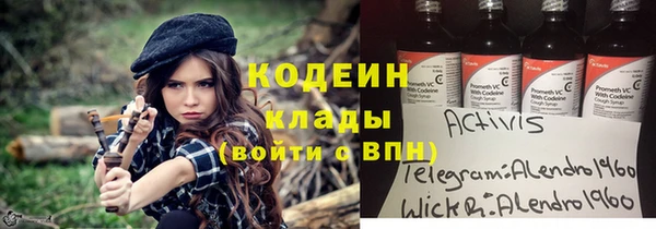 крисы Дедовск