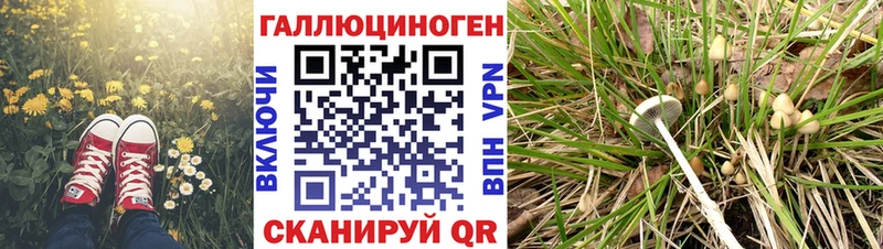 Псилоцибиновые грибы ЛСД  blacksprut вход  Мышкин 